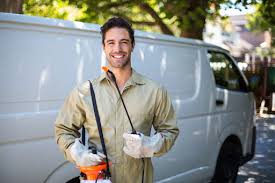 Best Termite Inspection and Treatment  in Dickson, OK